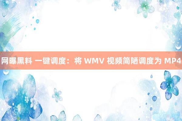 网曝黑料 一键调度：将 WMV 视频简陋调度为 MP4