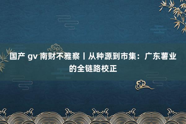 国产 gv 南财不雅察丨从种源到市集：广东薯业的全链路校正