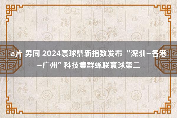 a片 男同 2024寰球鼎新指数发布 “深圳—香港—广州”科技集群蝉联寰球第二