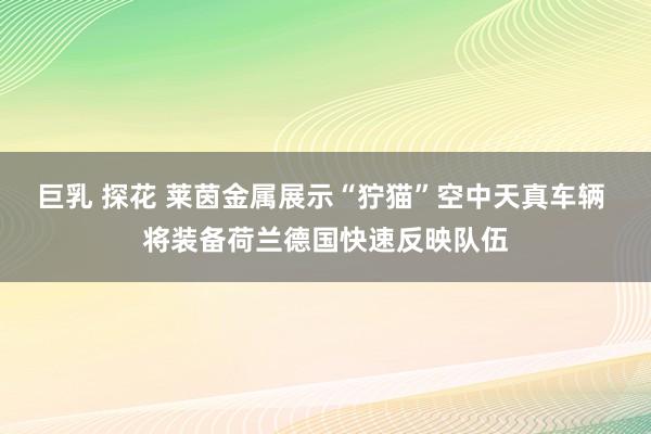 巨乳 探花 莱茵金属展示“狞猫”空中天真车辆 将装备荷兰德国快速反映队伍