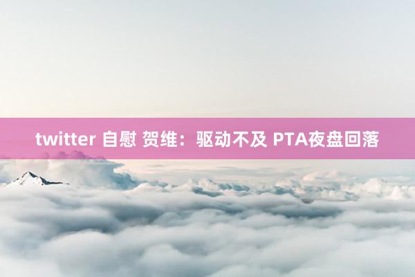 twitter 自慰 贺维：驱动不及 PTA夜盘回落