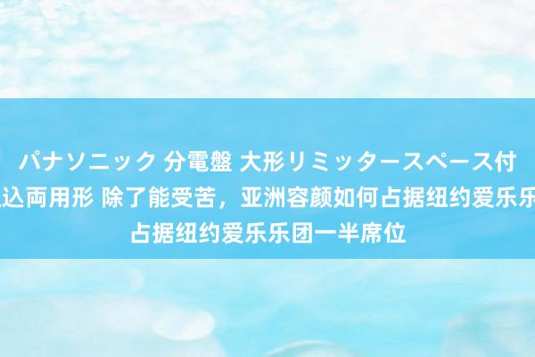 パナソニック 分電盤 大形リミッタースペース付 露出・半埋込両用形 除了能受苦，亚洲容颜如何占据纽约爱乐乐团一半席位