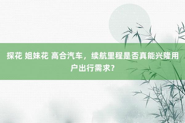 探花 姐妹花 高合汽车，续航里程是否真能兴隆用户出行需求？