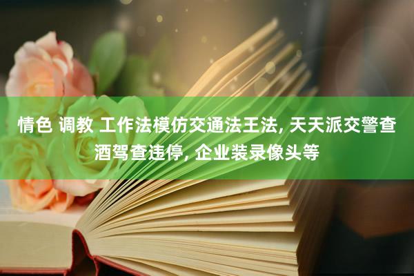 情色 调教 工作法模仿交通法王法, 天天派交警查酒驾查违停, 企业装录像头等