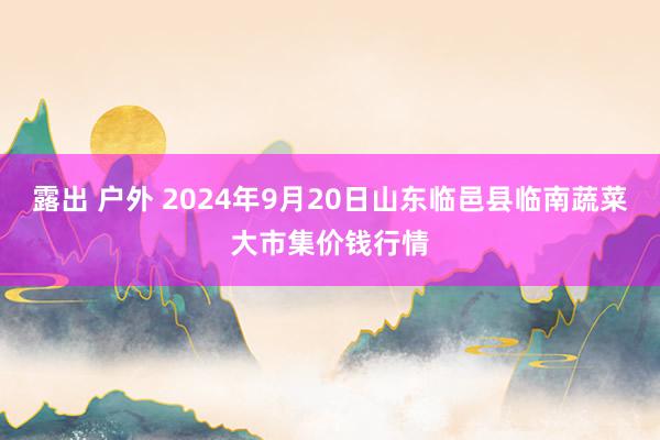 露出 户外 2024年9月20日山东临邑县临南蔬菜大市集价钱行情