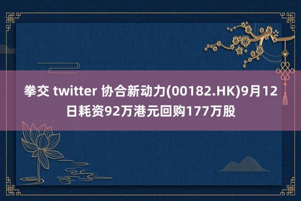 拳交 twitter 协合新动力(00182.HK)9月12日耗资92万港元回购177万股