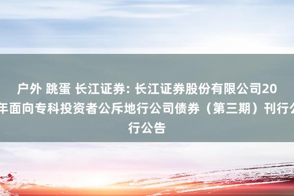 户外 跳蛋 长江证券: 长江证券股份有限公司2024年面向专科投资者公斥地行公司债券（第三期）刊行公告