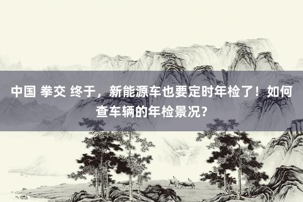 中国 拳交 终于，新能源车也要定时年检了！如何查车辆的年检景况？