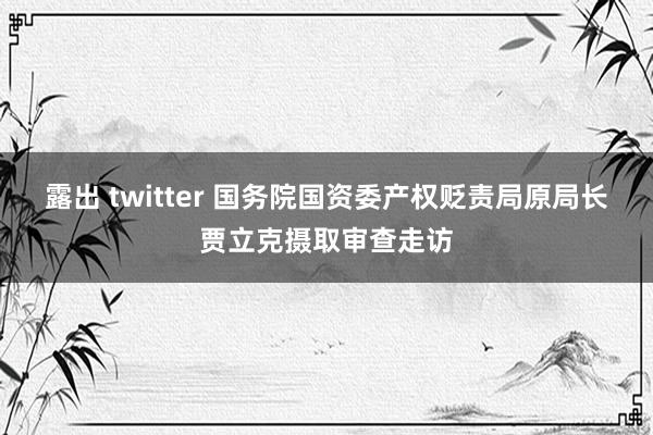 露出 twitter 国务院国资委产权贬责局原局长贾立克摄取审查走访