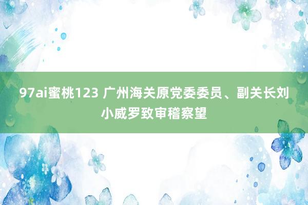 97ai蜜桃123 广州海关原党委委员、副关长刘小威罗致审稽察望