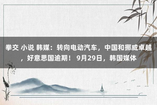 拳交 小说 韩媒：转向电动汽车，中国和挪威卓越，好意思国逾期！ 9月29日，韩国媒体