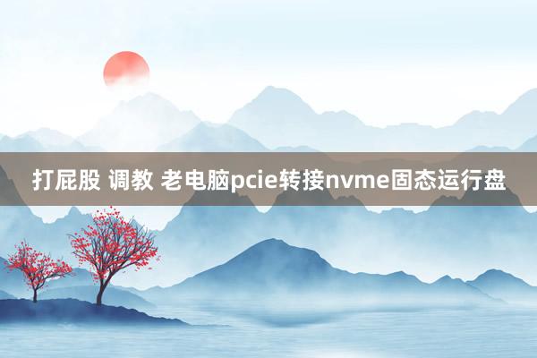 打屁股 调教 老电脑pcie转接nvme固态运行盘