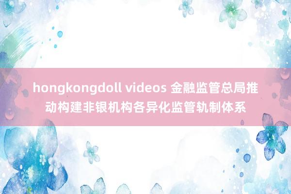 hongkongdoll videos 金融监管总局推动构建非银机构各异化监管轨制体系