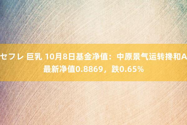 セフレ 巨乳 10月8日基金净值：中原景气运转搀和A最新净值0.8869，跌0.65%