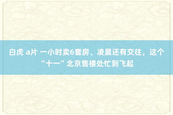 白虎 a片 一小时卖6套房、凌晨还有交往，这个“十一”北京售楼处忙到飞起