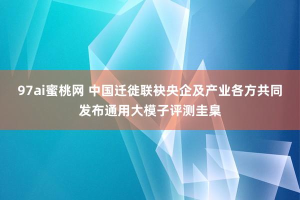 97ai蜜桃网 中国迁徙联袂央企及产业各方共同发布通用大模子评测圭臬