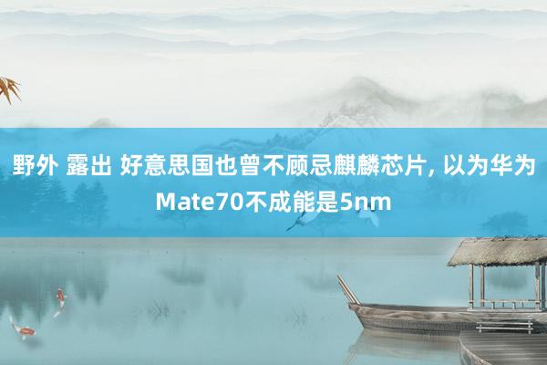 野外 露出 好意思国也曾不顾忌麒麟芯片, 以为华为Mate70不成能是5nm