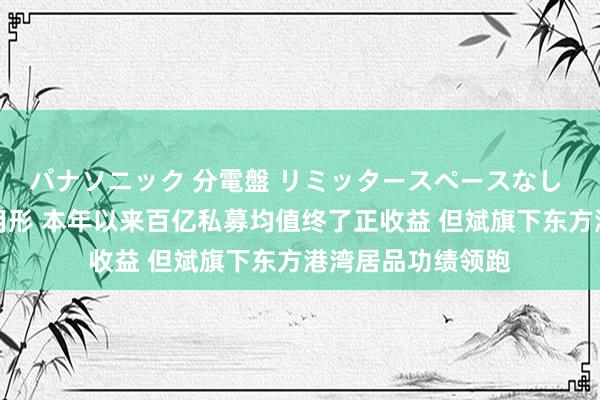 パナソニック 分電盤 リミッタースペースなし 露出・半埋込両用形 本年以来百亿私募均值终了正收益 但斌旗下东方港湾居品功绩领跑