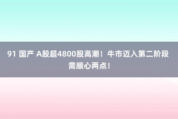 91 国产 A股超4800股高潮！牛市迈入第二阶段 需顺心两点！