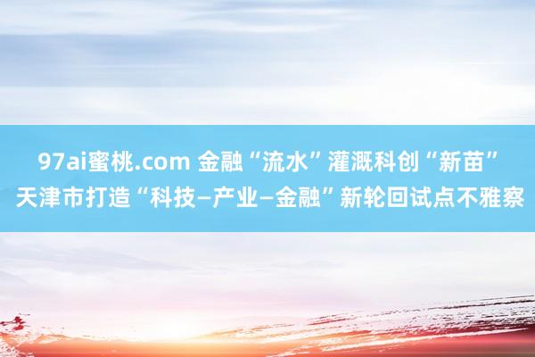 97ai蜜桃.com 金融“流水”灌溉科创“新苗” 天津市打造“科技—产业—金融”新轮回试点不雅察