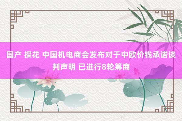 国产 探花 中国机电商会发布对于中欧价钱承诺谈判声明 已进行8轮筹商