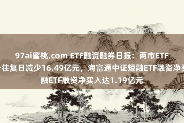 97ai蜜桃.com ETF融资融券日报：两市ETF两融余额较前一往复日减少16.49亿元，海富通中证短融ETF融资净买入达1.19亿元