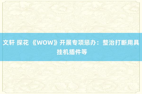 文轩 探花 《WOW》开展专项惩办：整治打断用具 挂机插件等