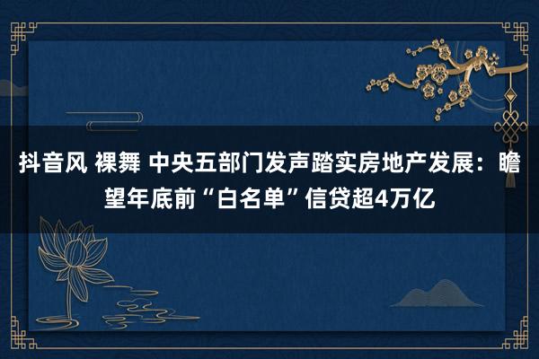 抖音风 裸舞 中央五部门发声踏实房地产发展：瞻望年底前“白名单”信贷超4万亿