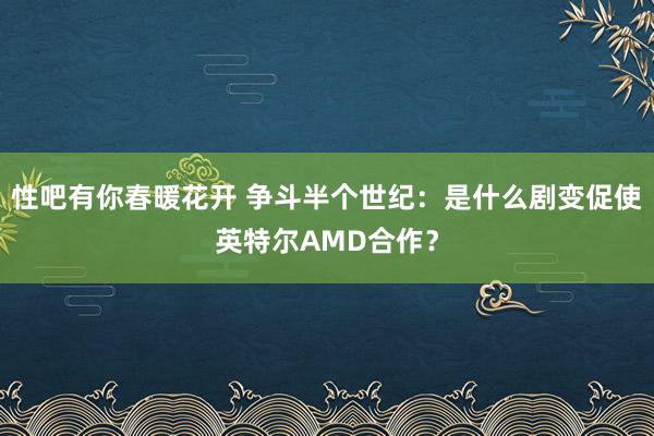 性吧有你春暖花开 争斗半个世纪：是什么剧变促使英特尔AMD合作？