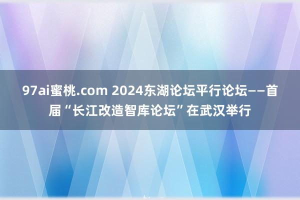 97ai蜜桃.com 2024东湖论坛平行论坛——首届“长江改造智库论坛”在武汉举行