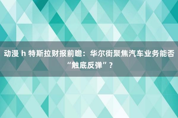 动漫 h 特斯拉财报前瞻：华尔街聚焦汽车业务能否“触底反弹”？