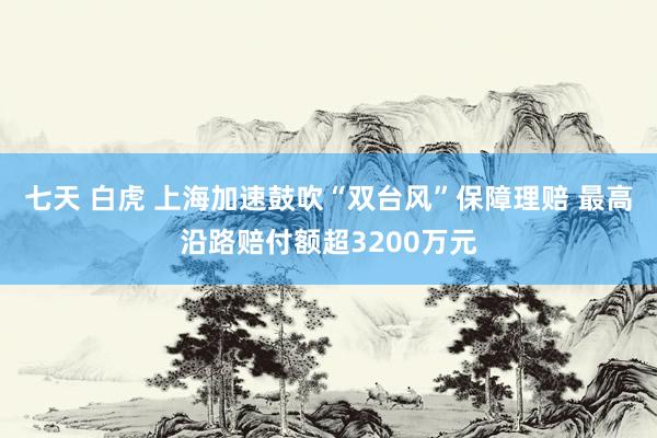 七天 白虎 上海加速鼓吹“双台风”保障理赔 最高沿路赔付额超3200万元