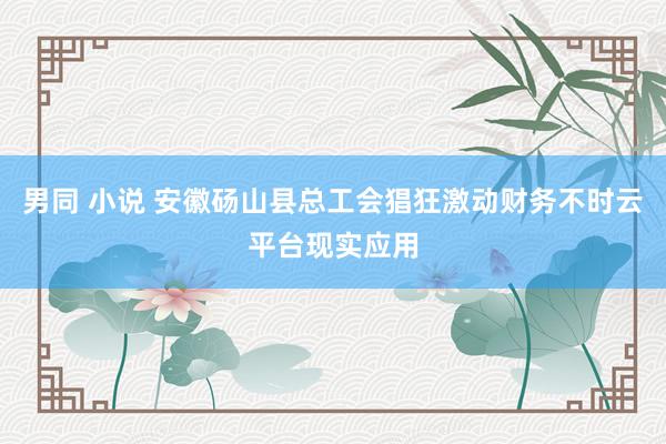 男同 小说 安徽砀山县总工会猖狂激动财务不时云平台现实应用