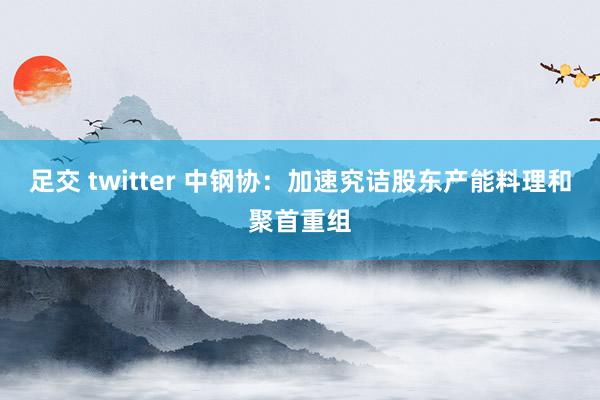 足交 twitter 中钢协：加速究诘股东产能料理和聚首重组