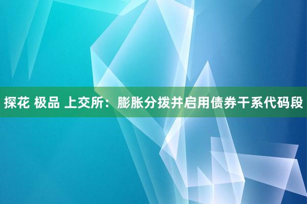 探花 极品 上交所：膨胀分拨并启用债券干系代码段