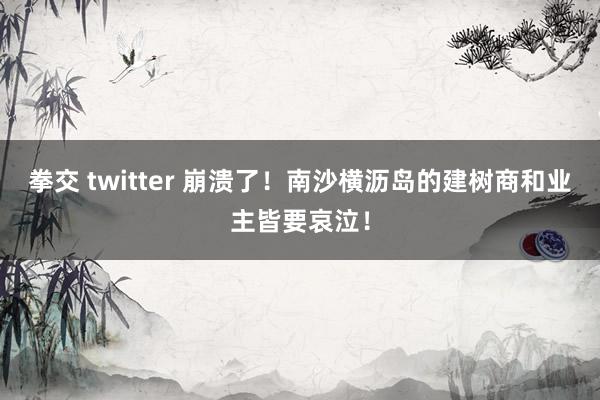 拳交 twitter 崩溃了！南沙横沥岛的建树商和业主皆要哀泣！