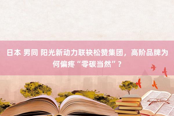 日本 男同 阳光新动力联袂松赞集团，高阶品牌为何偏疼“零碳当然”？