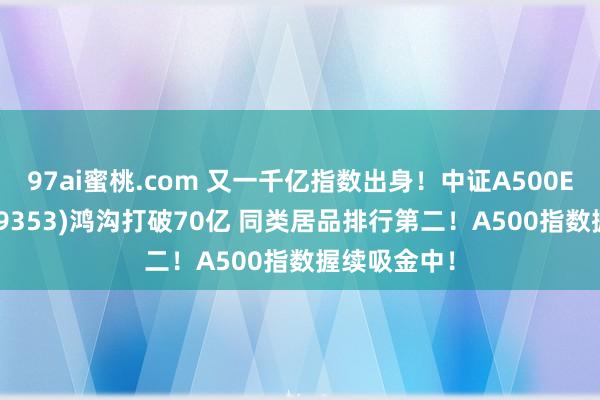 97ai蜜桃.com 又一千亿指数出身！中证A500ETF景顺(159353)鸿沟打破70亿 同类居品排行第二！A500指数握续吸金中！