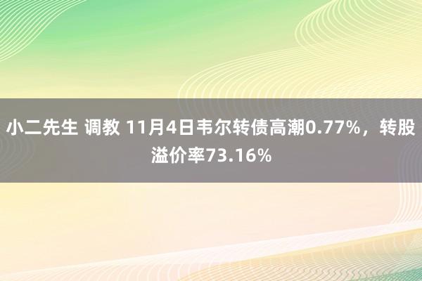 小二先生 调教 11月4日韦尔转债高潮0.77%，转股溢价率73.16%