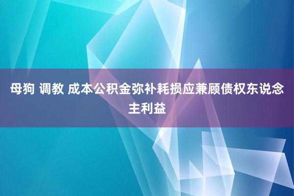 母狗 调教 成本公积金弥补耗损应兼顾债权东说念主利益