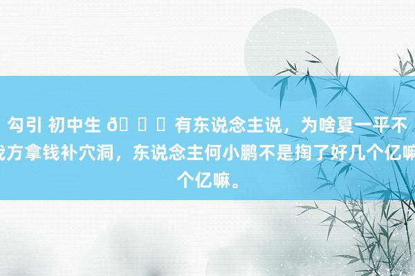 勾引 初中生 😂有东说念主说，为啥夏一平不我方拿钱补穴洞，东说念主何小鹏不是掏了好几个亿嘛。