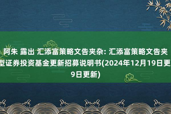 阿朱 露出 汇添富策略文告夹杂: 汇添富策略文告夹杂型证券投资基金更新招募说明书(2024年12月19日更新)