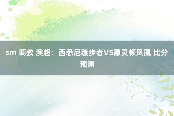 sm 调教 澳超：西悉尼踱步者VS惠灵顿凤凰 比分预测