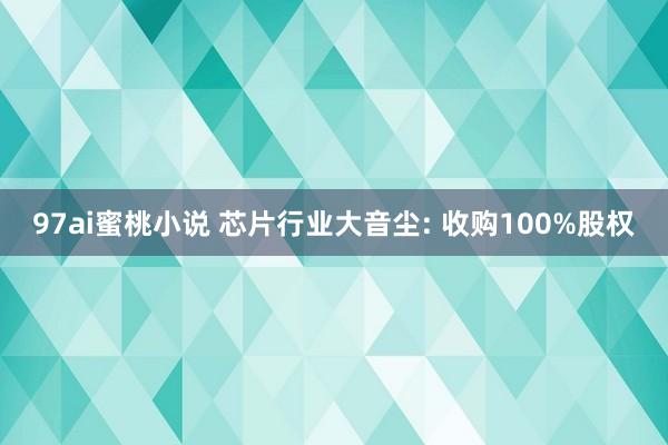 97ai蜜桃小说 芯片行业大音尘: 收购100%股权