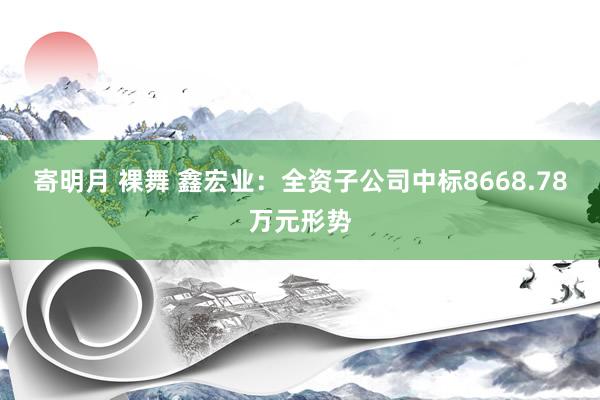 寄明月 裸舞 鑫宏业：全资子公司中标8668.78万元形势