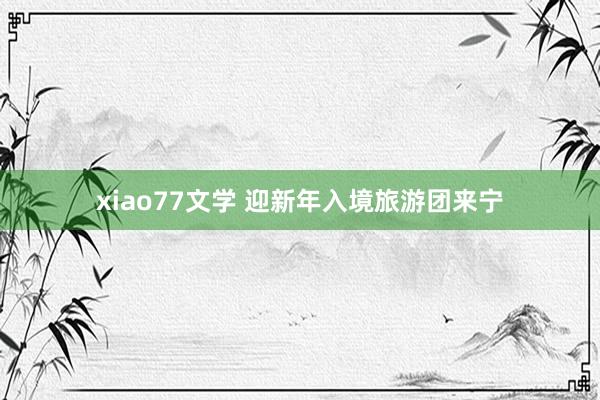 xiao77文学 迎新年入境旅游团来宁