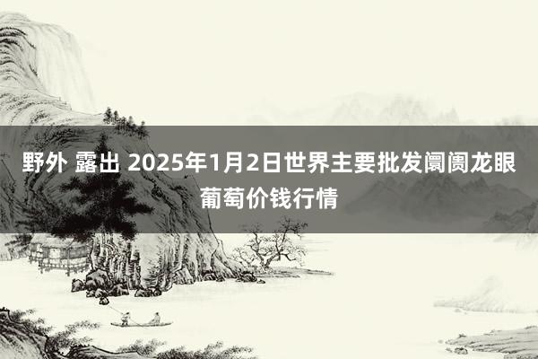 野外 露出 2025年1月2日世界主要批发阛阓龙眼葡萄价钱行情