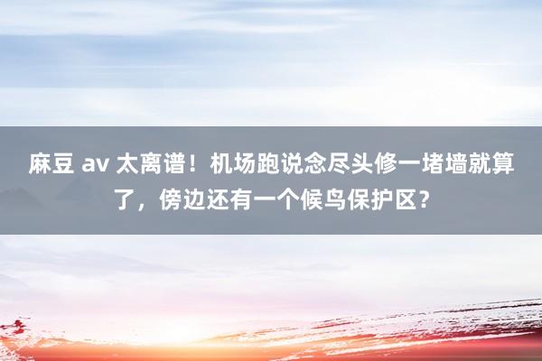 麻豆 av 太离谱！机场跑说念尽头修一堵墙就算了，傍边还有一个候鸟保护区？