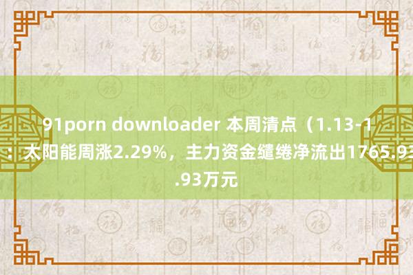 91porn downloader 本周清点（1.13-1.17）：太阳能周涨2.29%，主力资金缱绻净流出1765.93万元