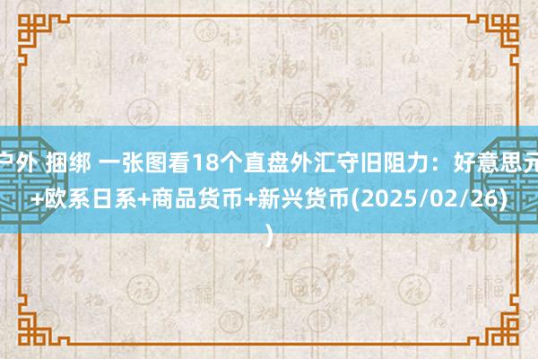 户外 捆绑 一张图看18个直盘外汇守旧阻力：好意思元+欧系日系+商品货币+新兴货币(2025/02/26)